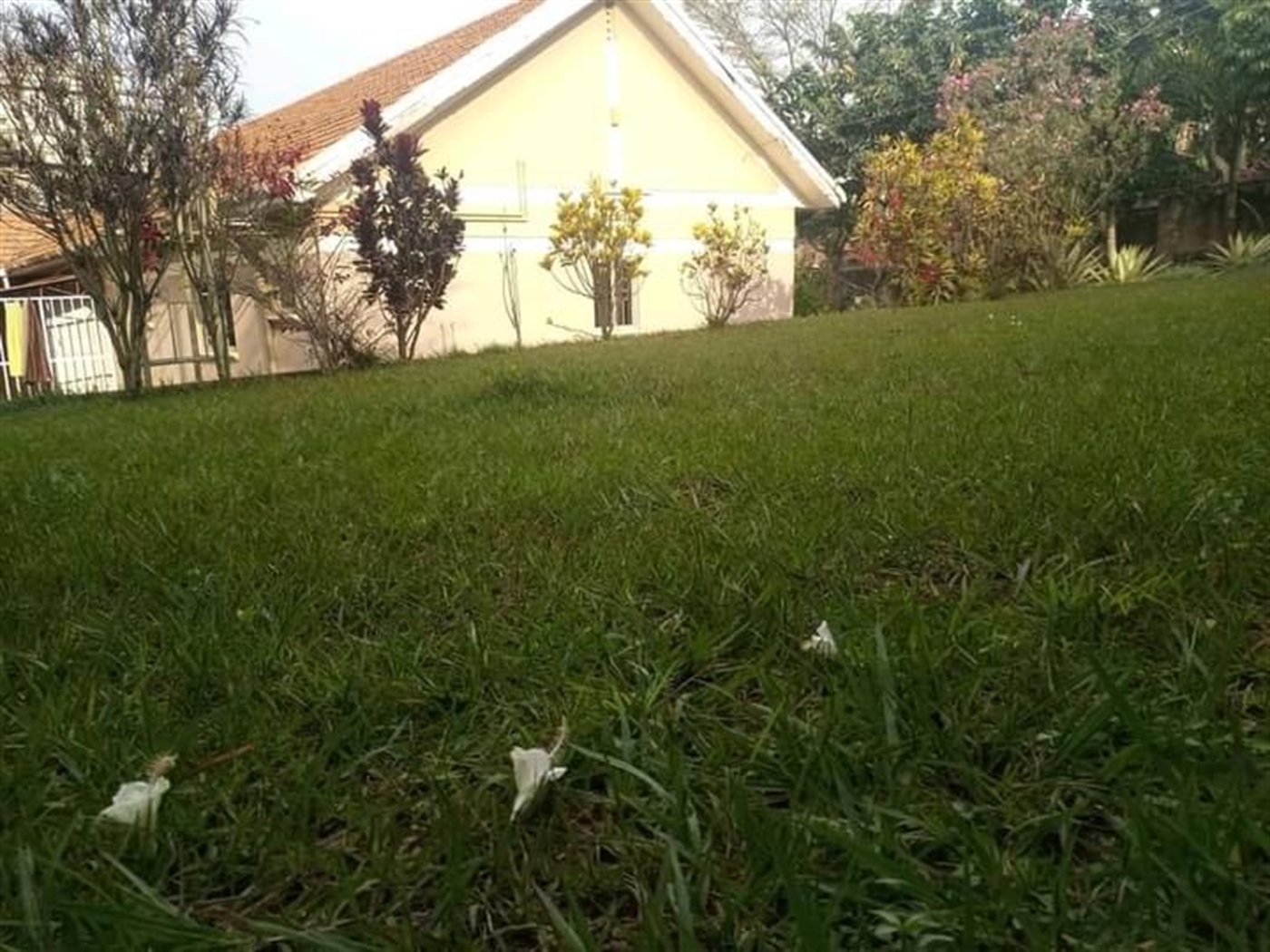 Bungalow for rent in Mutungo Kampala