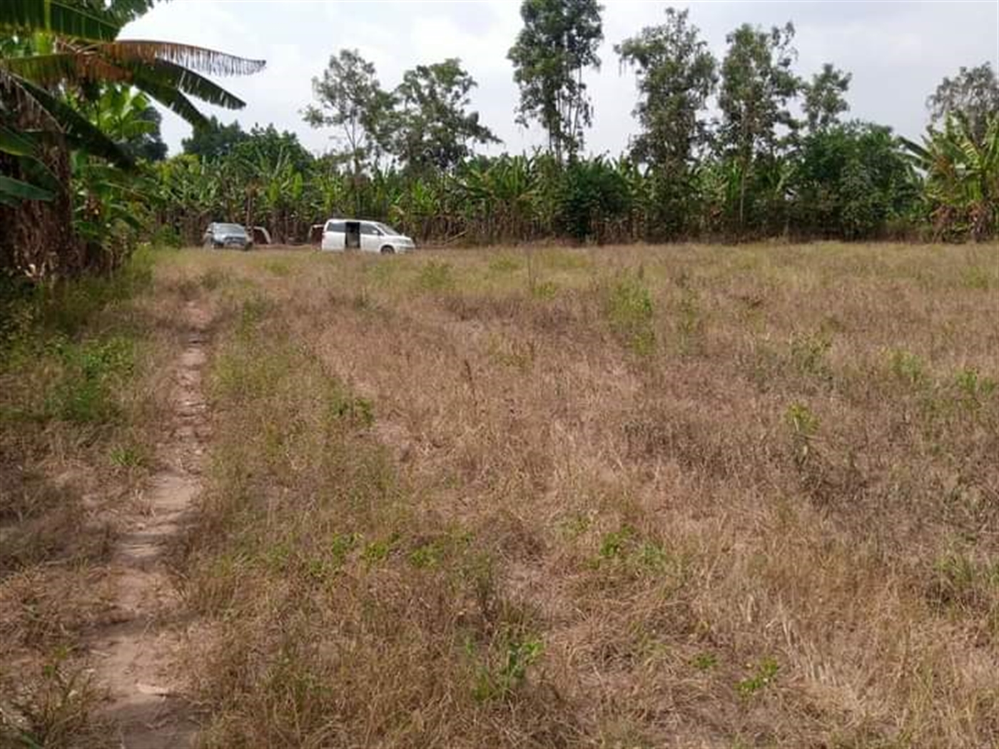 Residential Land for sale in Kabubbu Wakiso