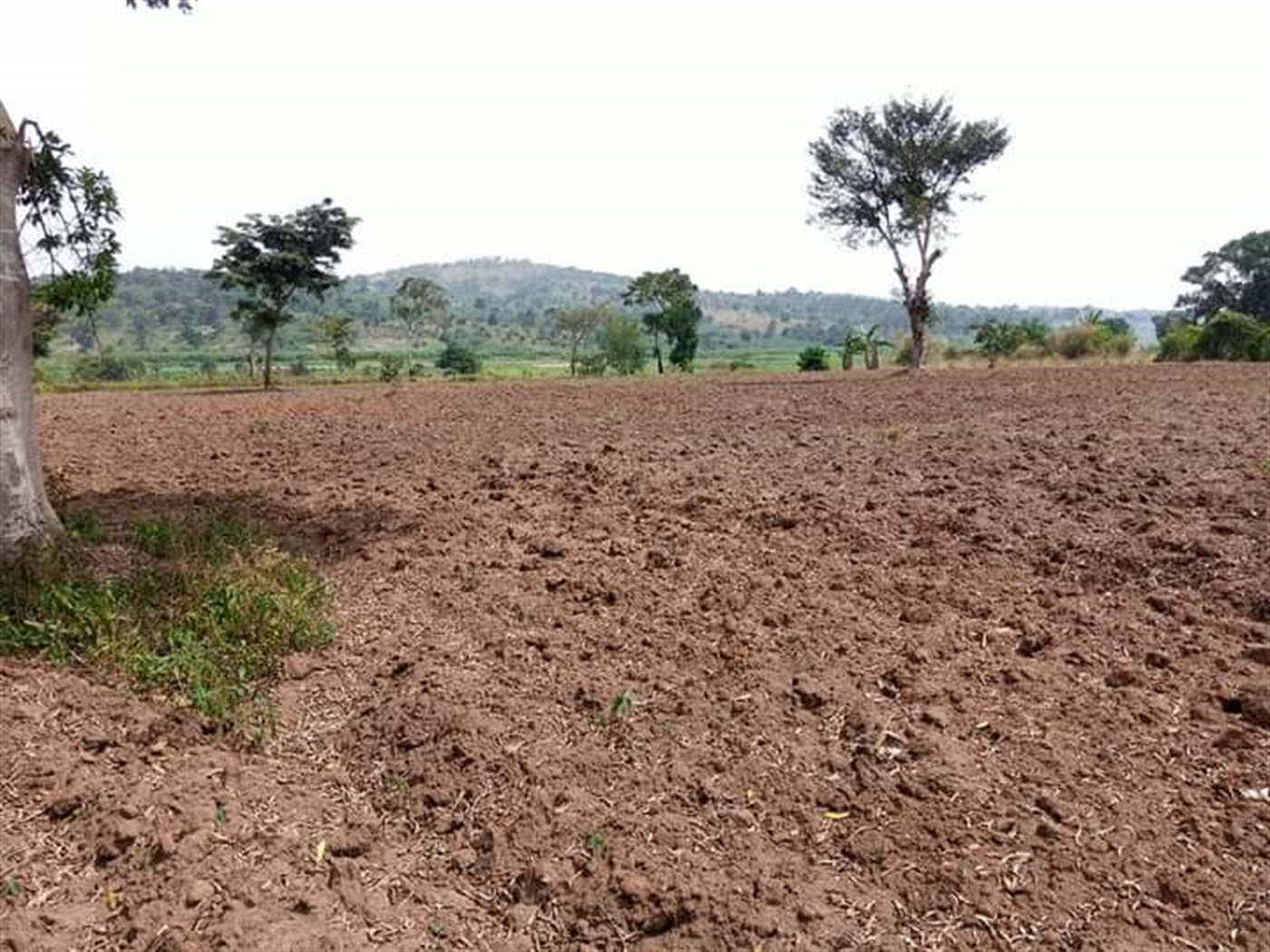 Residential Land for sale in Kabubbu Wakiso