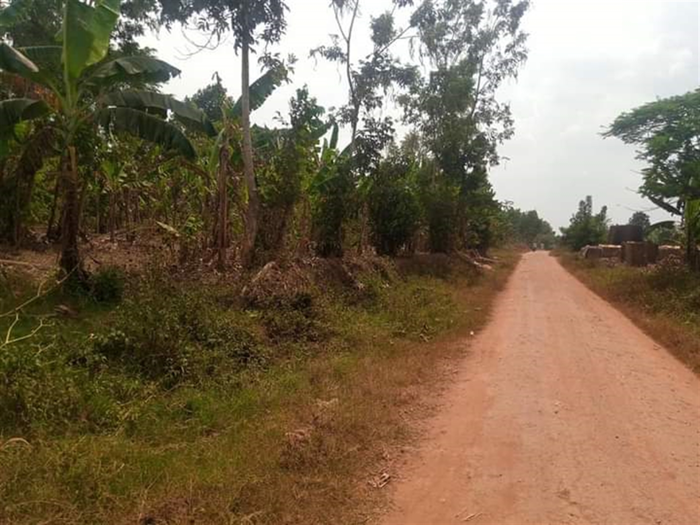 Residential Land for sale in Kabubbu Wakiso