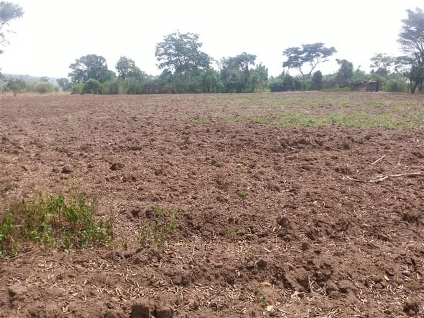 Residential Land for sale in Kabubbu Wakiso