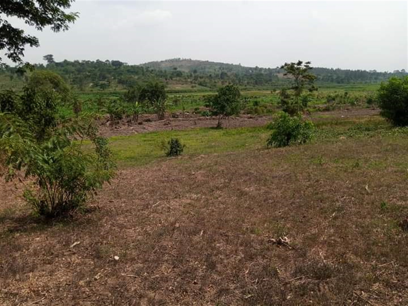 Residential Land for sale in Kabubbu Wakiso