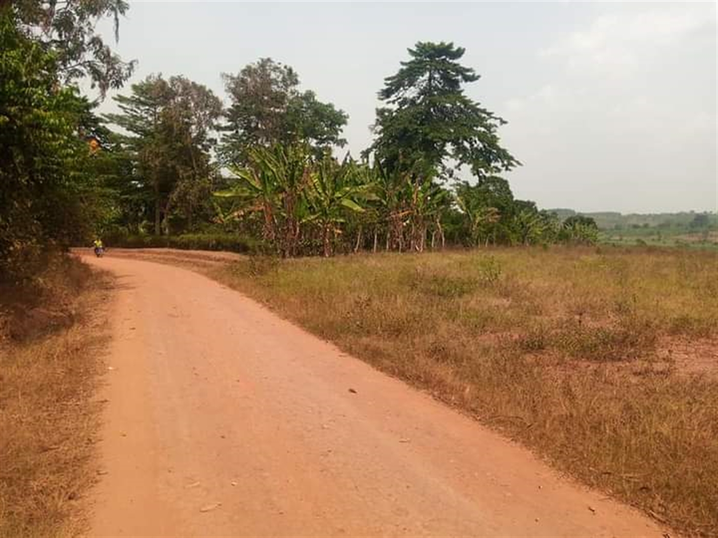 Residential Land for sale in Kabubbu Wakiso