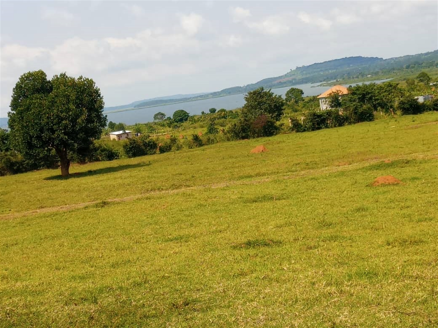 Multipurpose Land for sale in Buwaya Wakiso