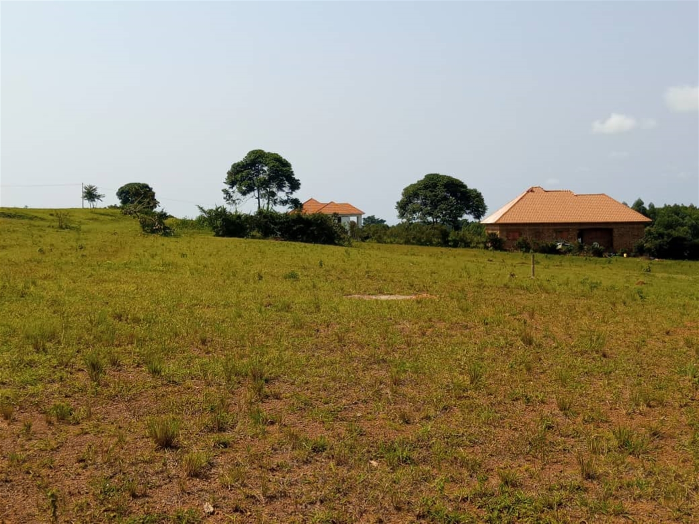 Multipurpose Land for sale in Buwaya Wakiso