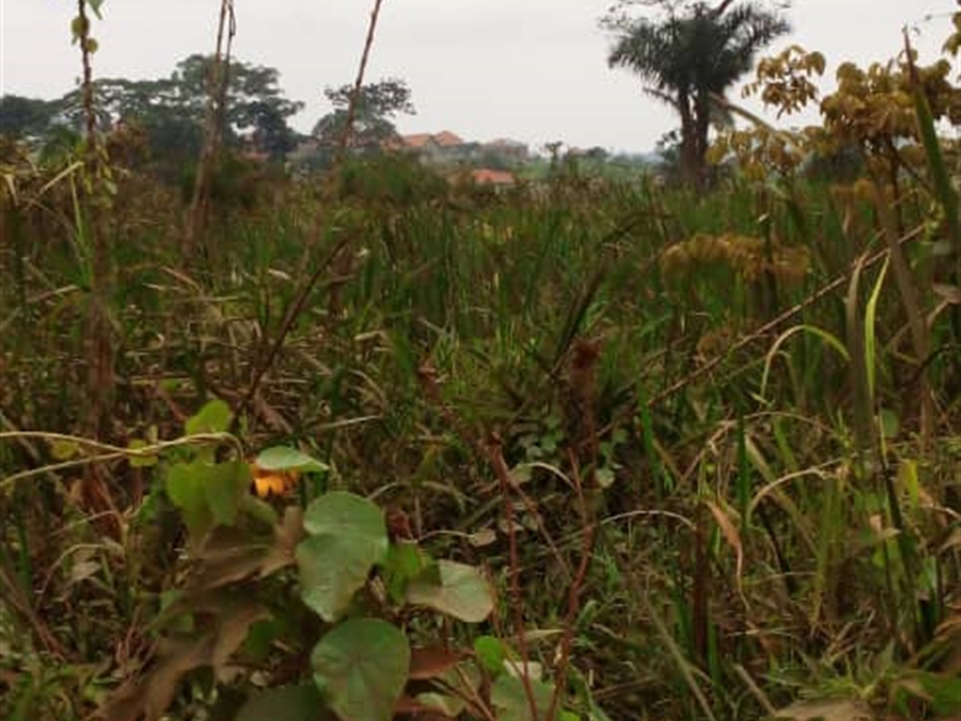 Multipurpose Land for sale in Kitende Wakiso