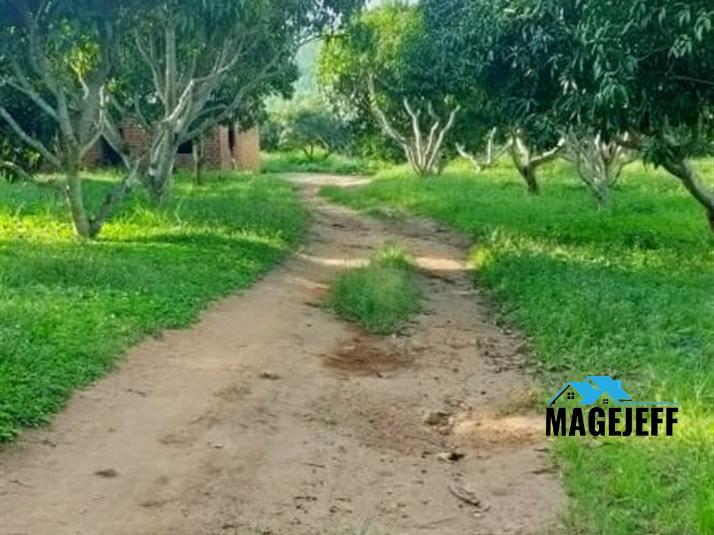 Agricultural Land for sale in Bujuuko Mityana