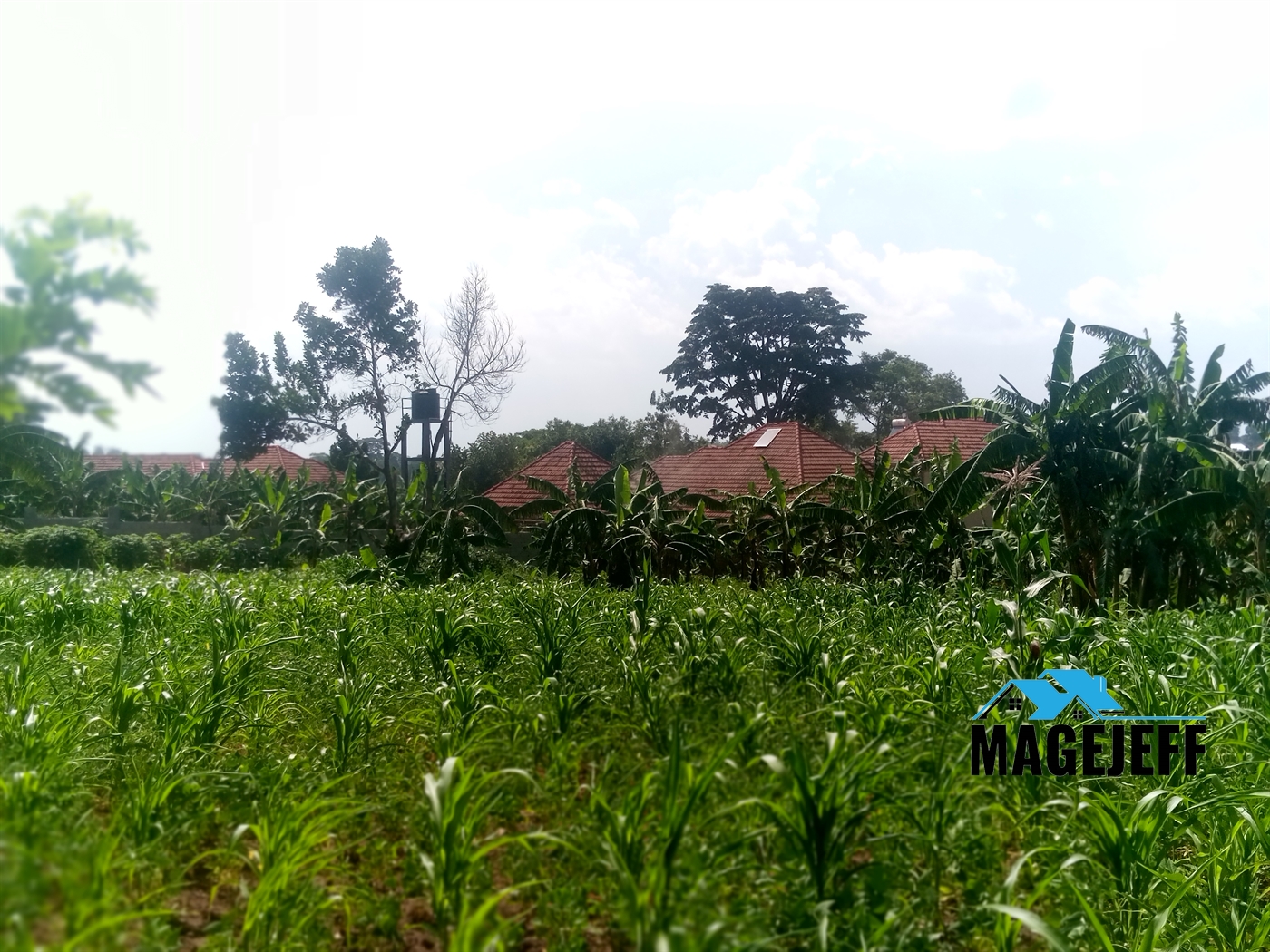 Residential Land for sale in Masooli Wakiso