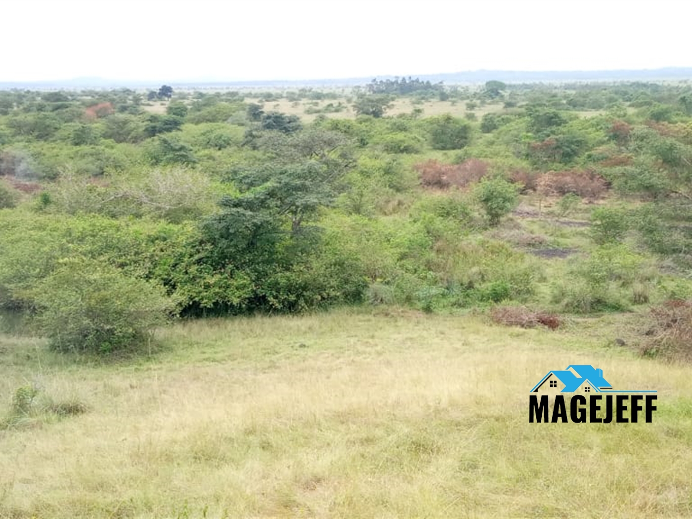 Agricultural Land for sale in Katonga Masaka