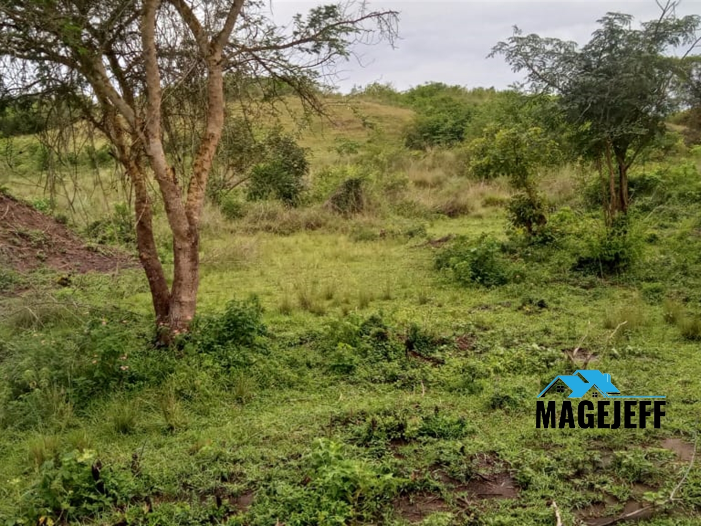 Agricultural Land for sale in Katonga Masaka