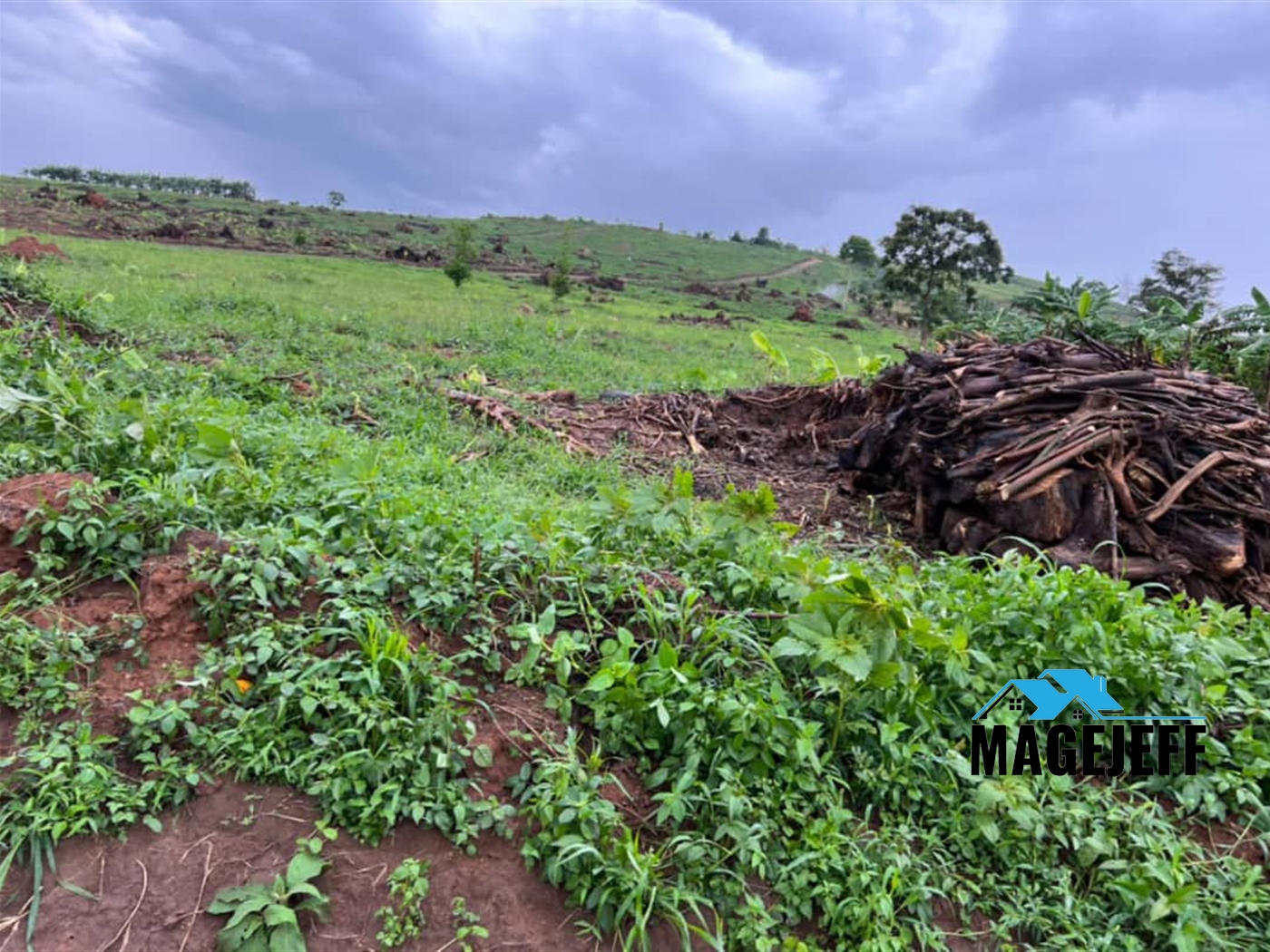 Agricultural Land for sale in Kagadi Kibaale