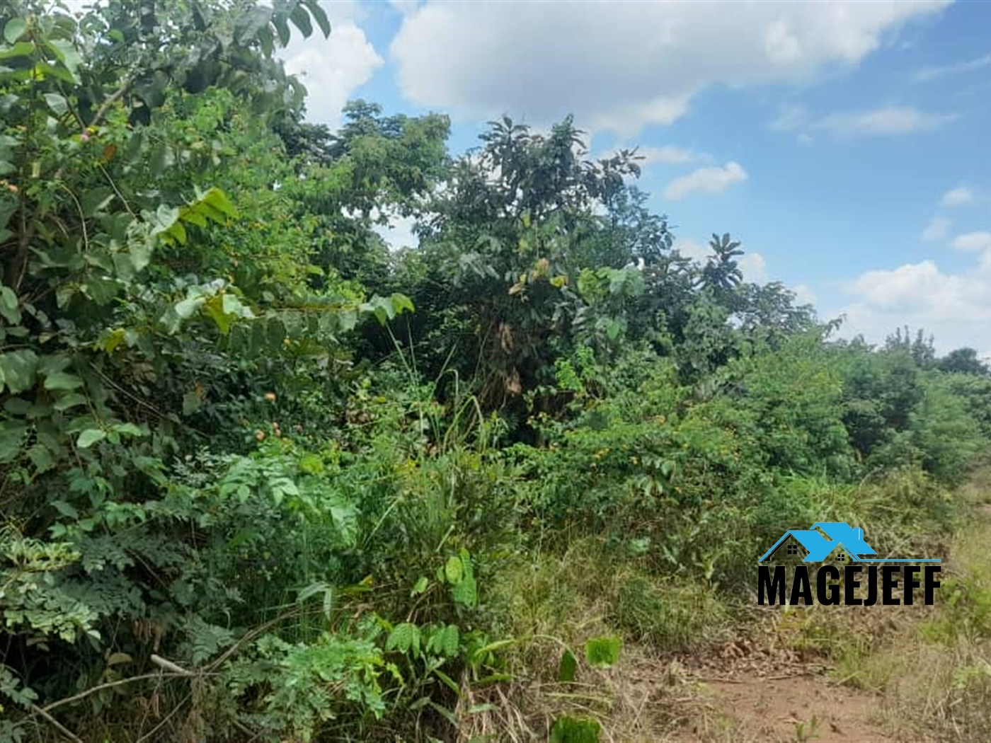 Agricultural Land for sale in Butuntumula Luweero