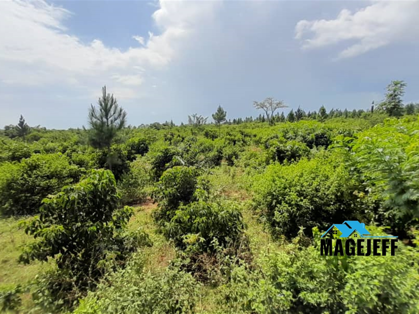 Agricultural Land for sale in Buseruka Wakiso