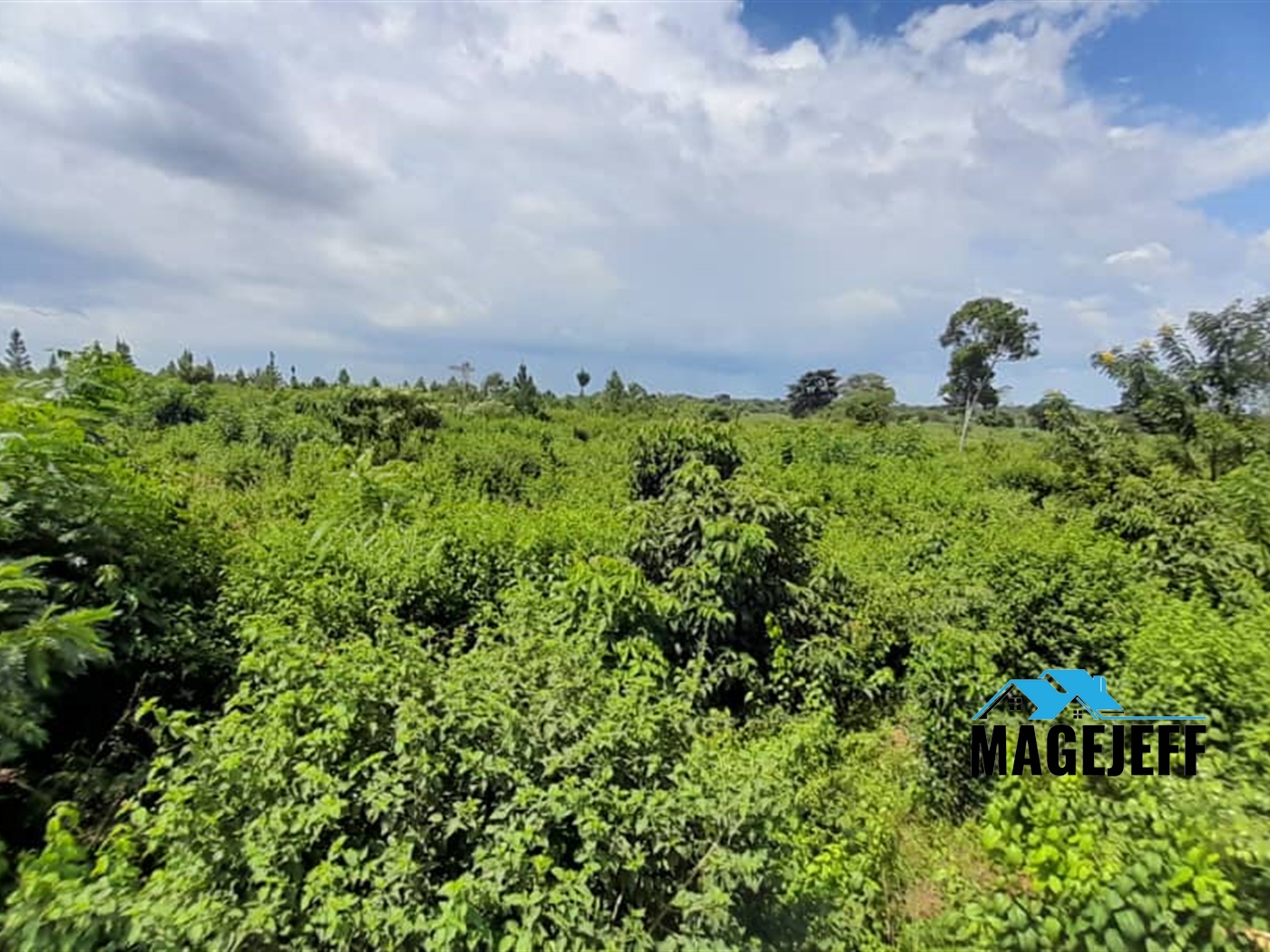 Agricultural Land for sale in Buseruka Wakiso