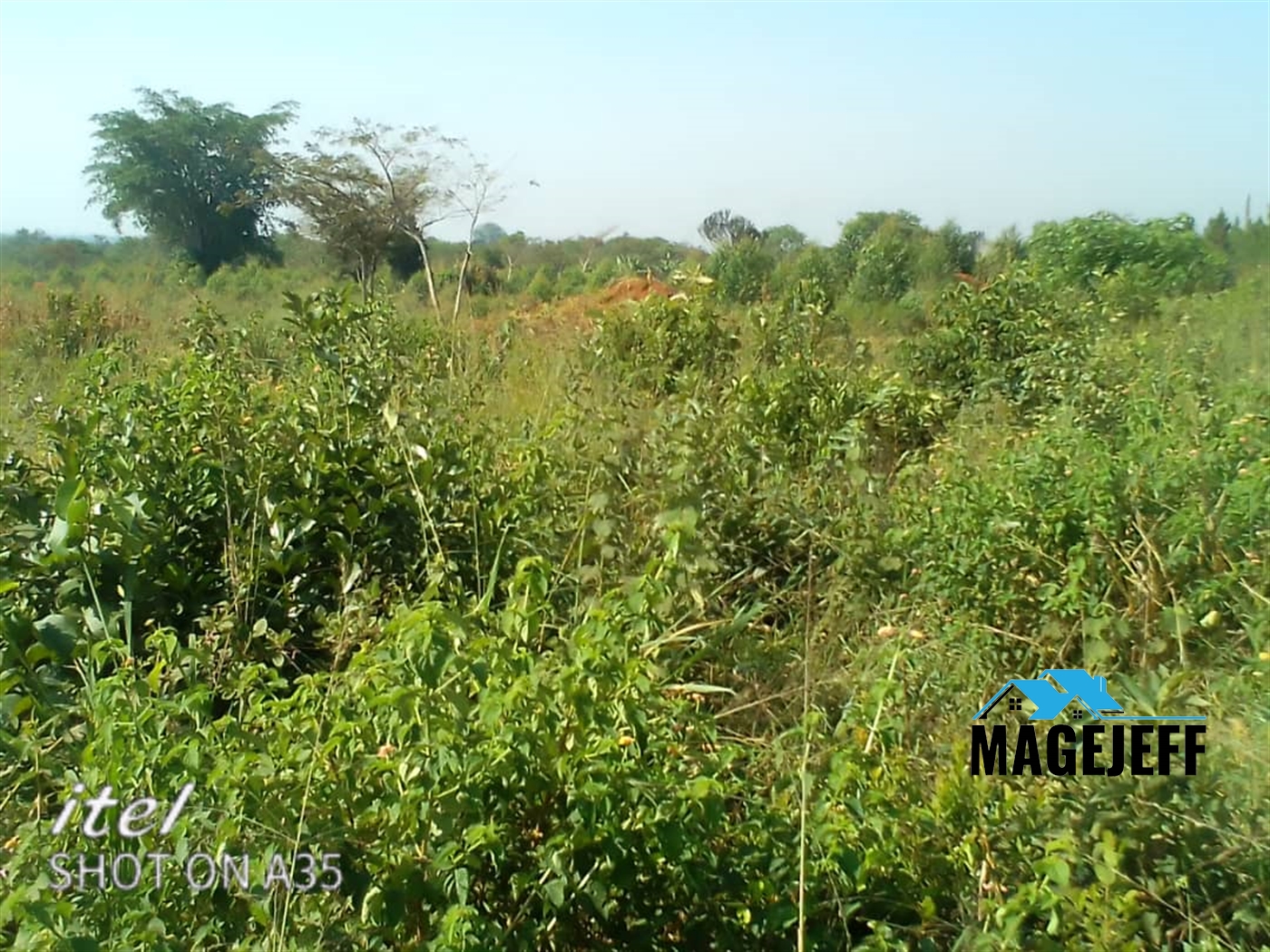 Agricultural Land for sale in Kalonge Nakasongola