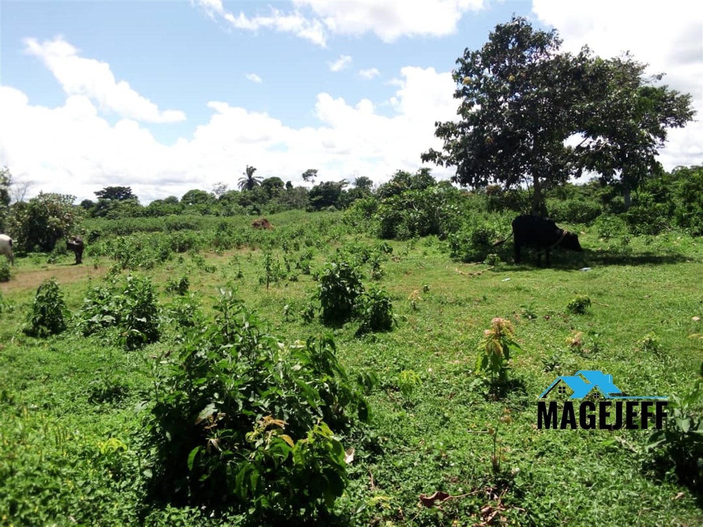 Residential Land for sale in Busiro Wakiso