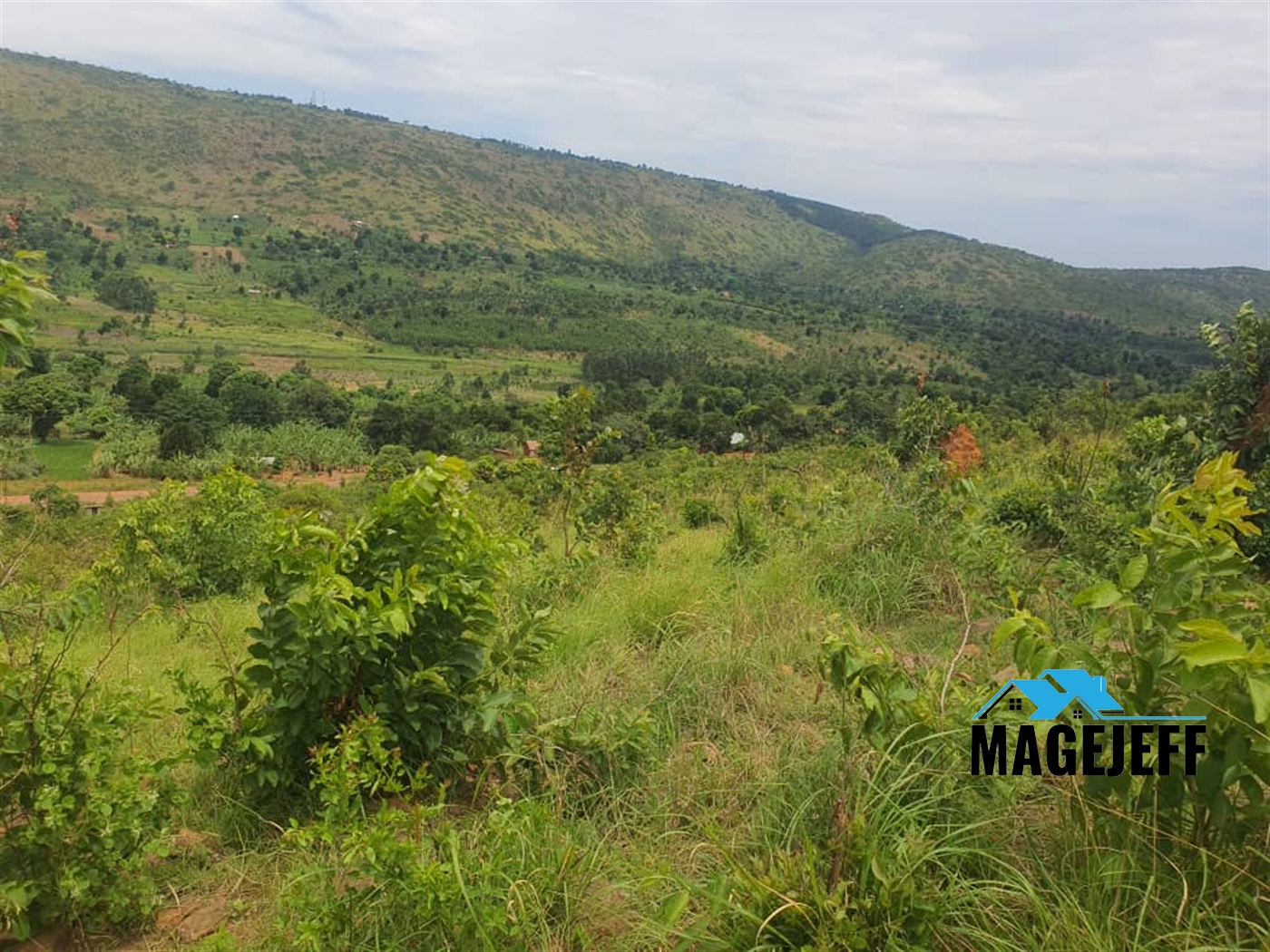 Commercial Land for sale in Nakaseeta Kiboga