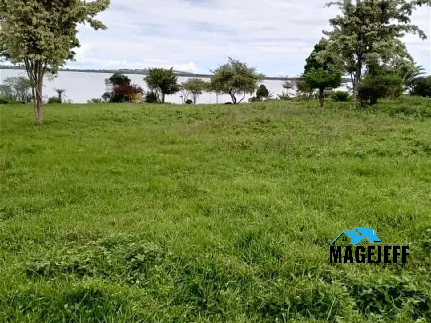 Residential Land for sale in Buwaya Mayuge