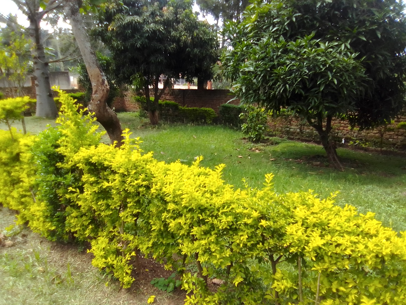 Bungalow for sale in Seniorquarter Mbaale