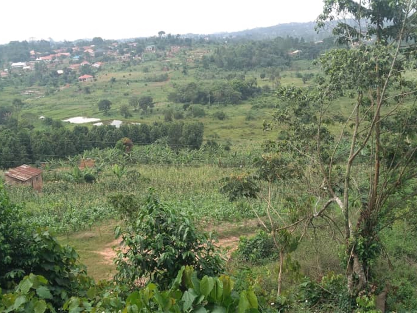 Multipurpose Land for sale in Kinga Mukono