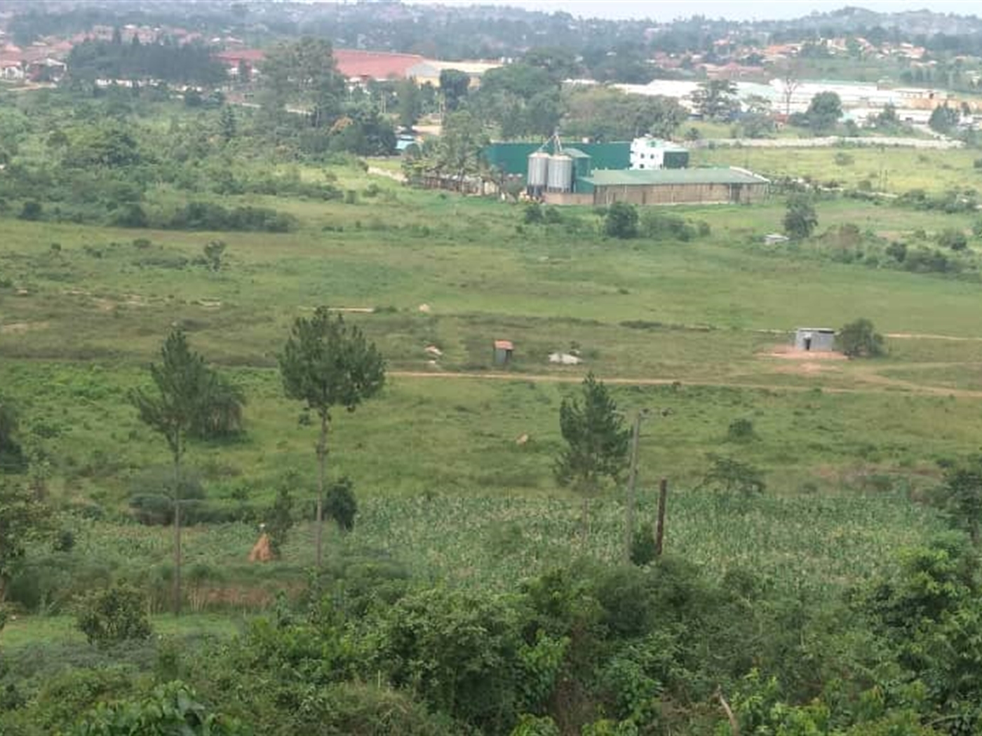 Multipurpose Land for sale in Kinga Mukono