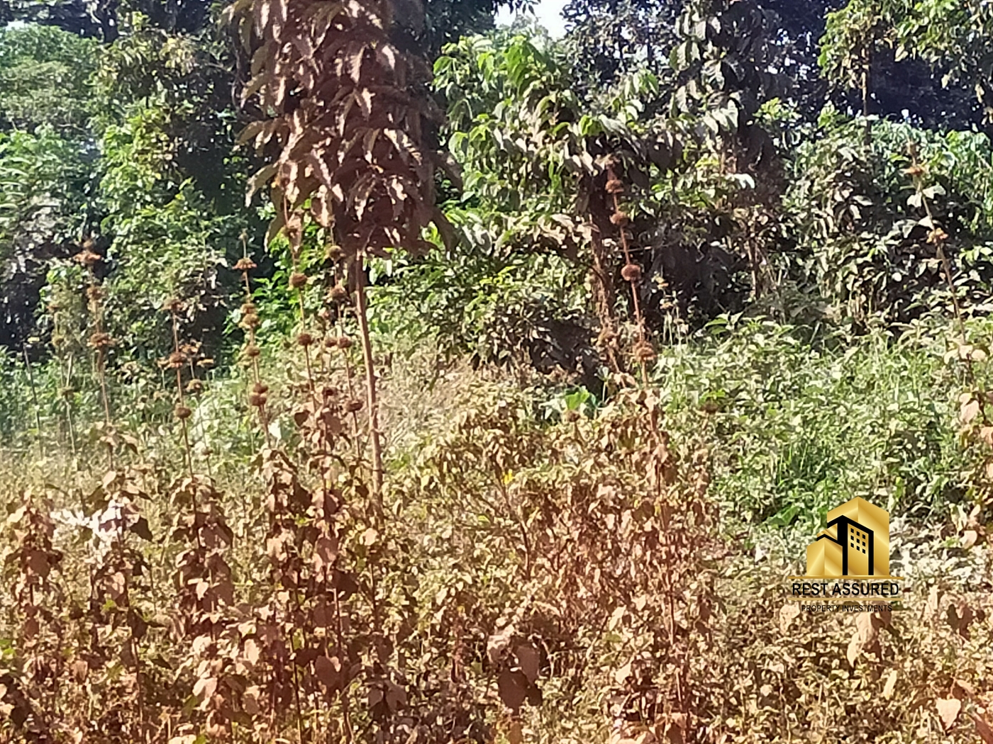 Commercial Land for sale in Kasangati Wakiso