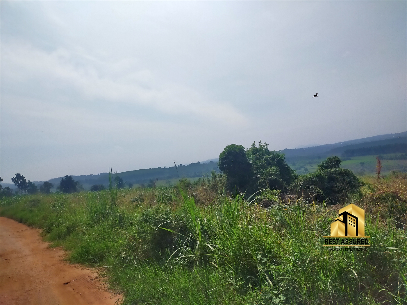 Multipurpose Land for sale in Simbamanyo Wakiso