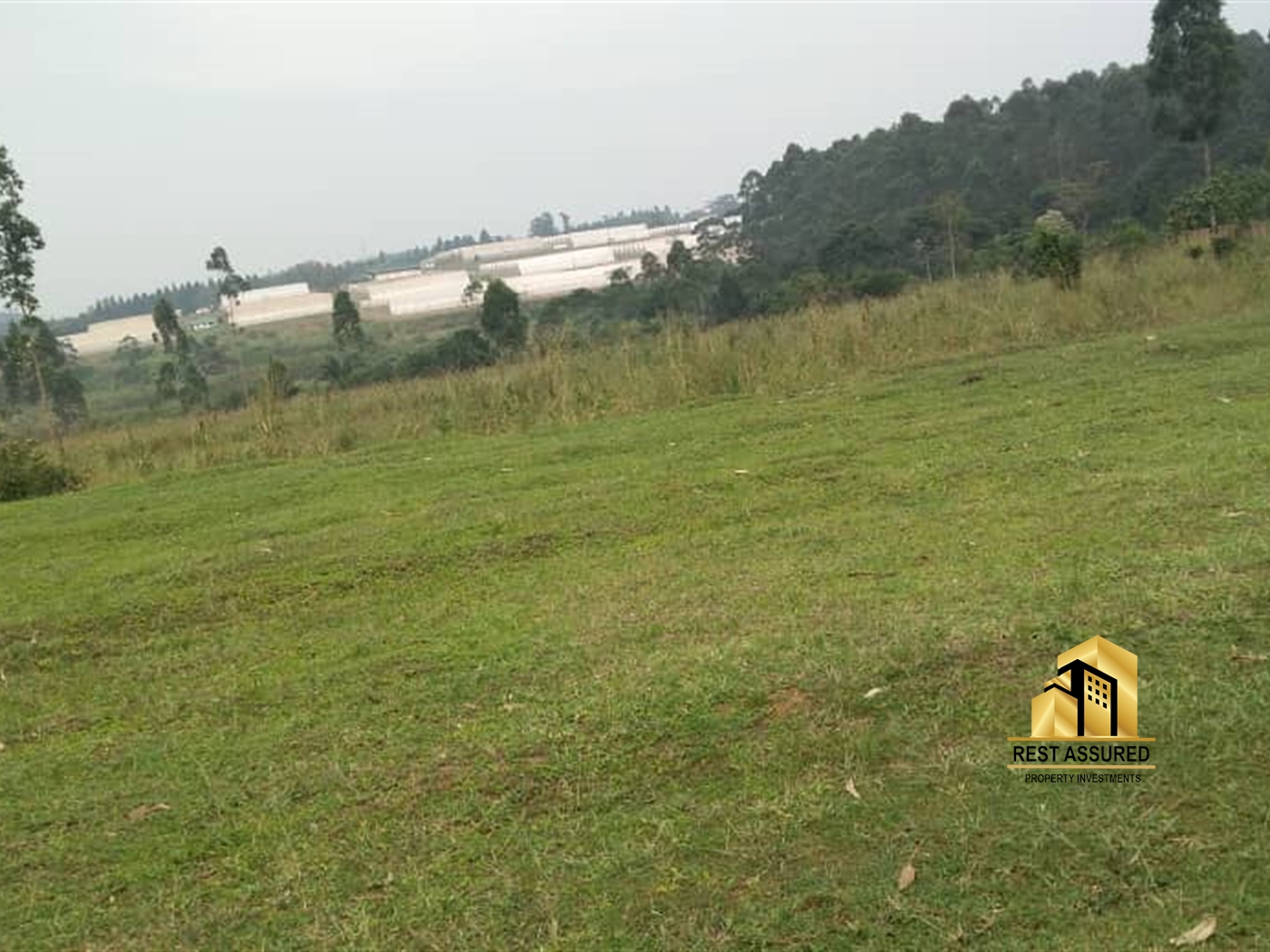Multipurpose Land for sale in Nakisunga Mukono
