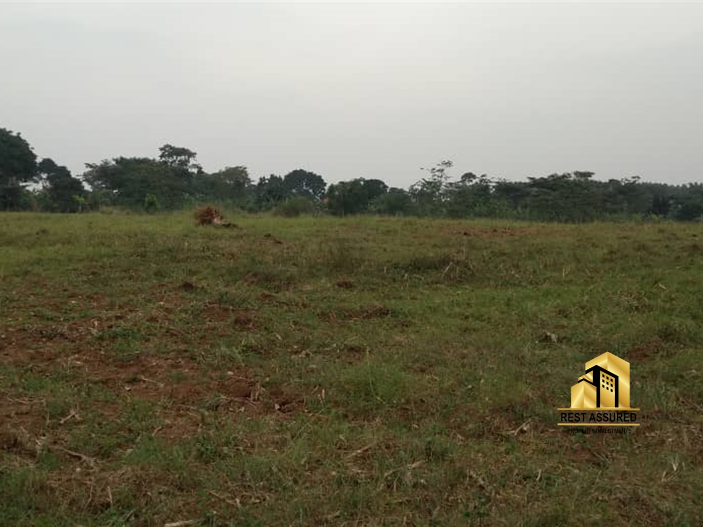 Multipurpose Land for sale in Pabo Gulu