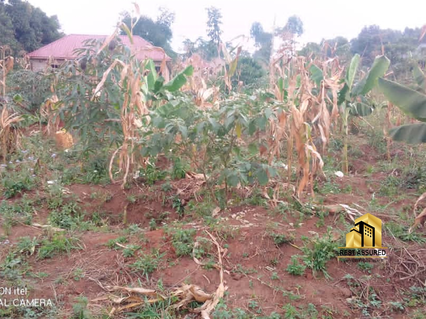 Residential Land for sale in Lubanja Mityana