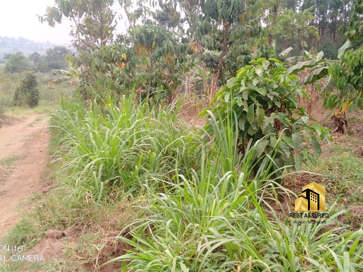 Residential Land for sale in Lubanja Mityana