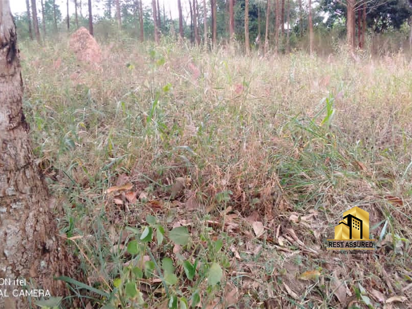 Residential Land for sale in Lubanja Mityana