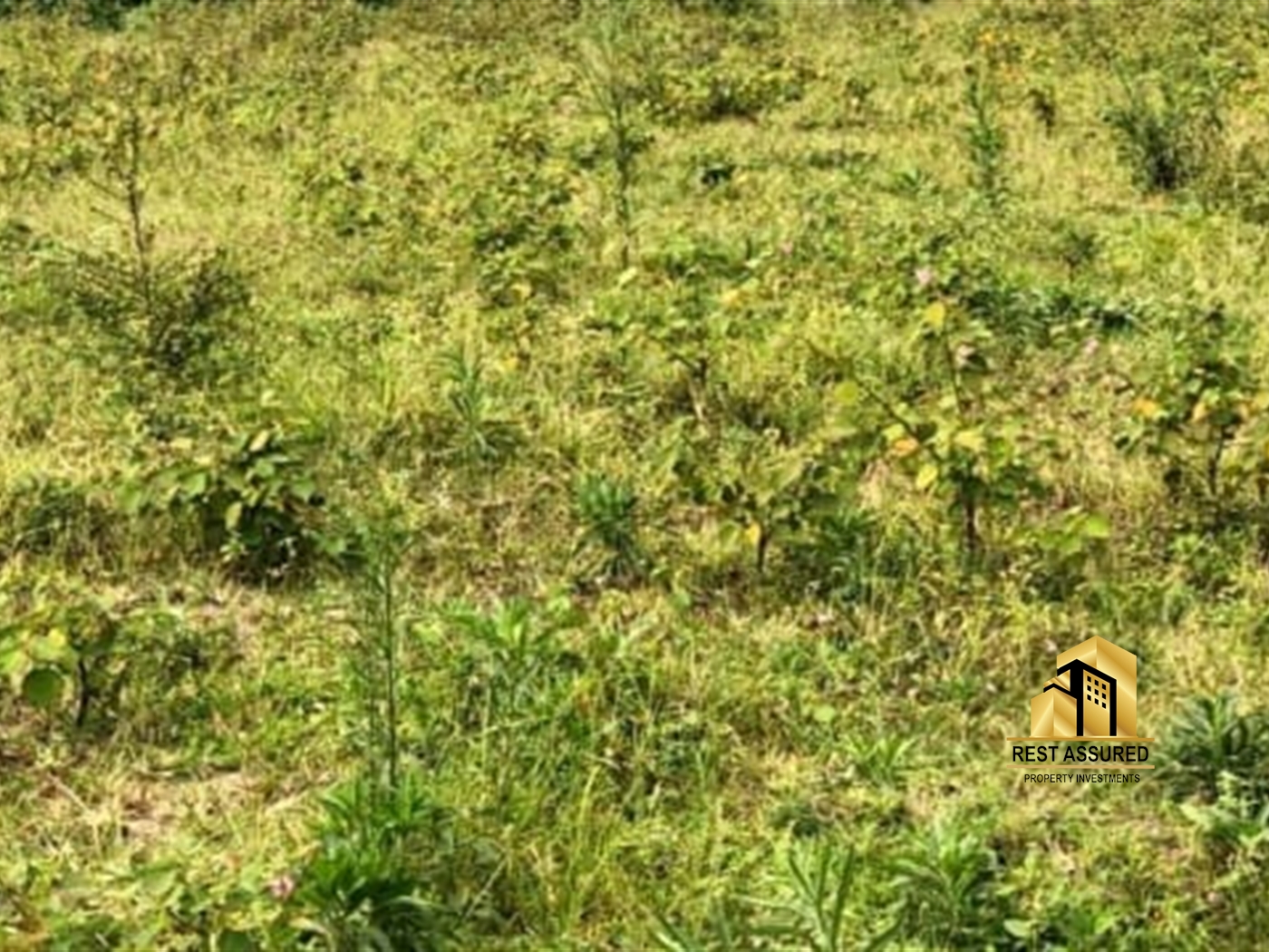 Agricultural Land for sale in Masindiport Masindi