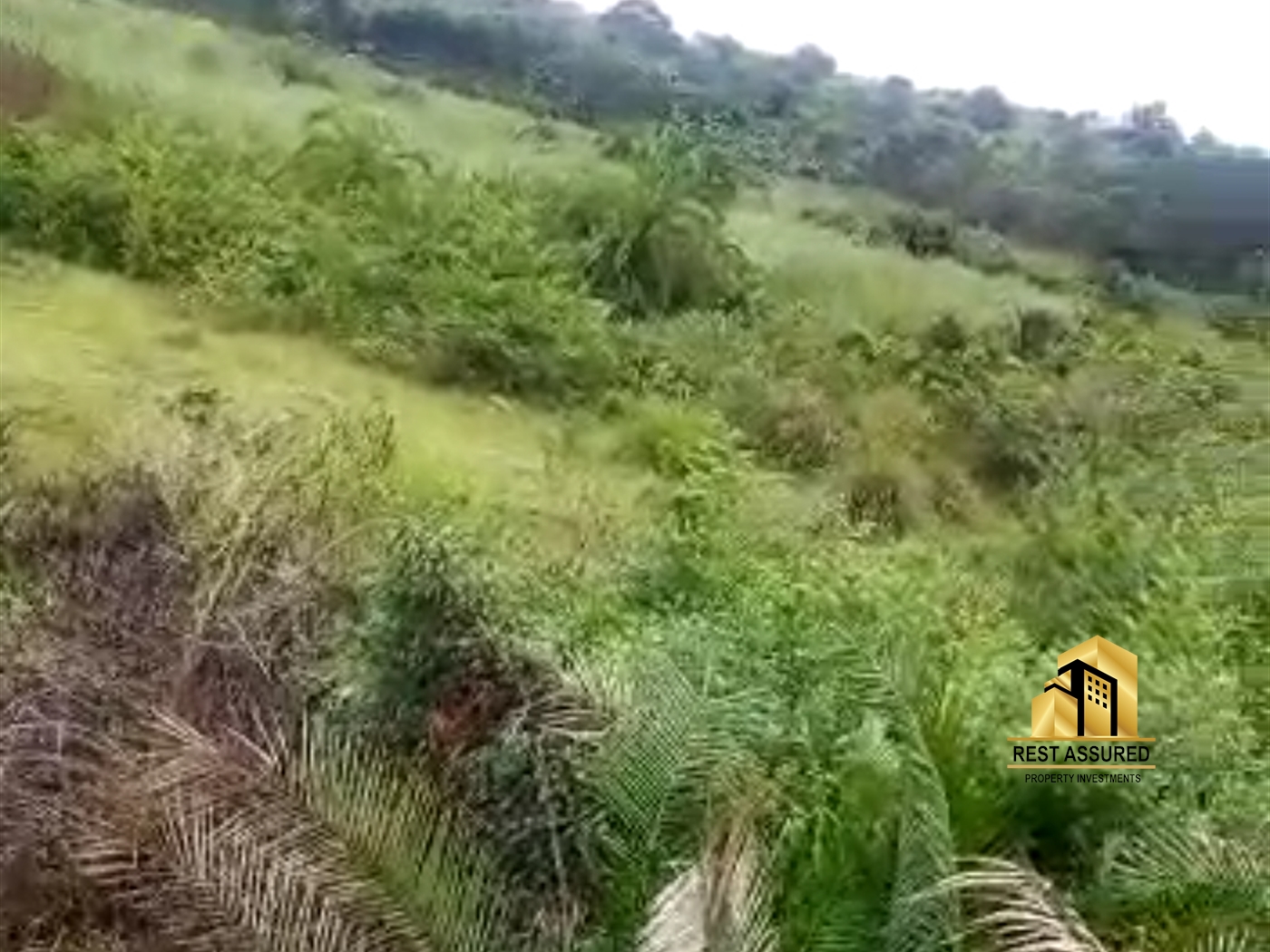 Agricultural Land for sale in Kyotela Masaka