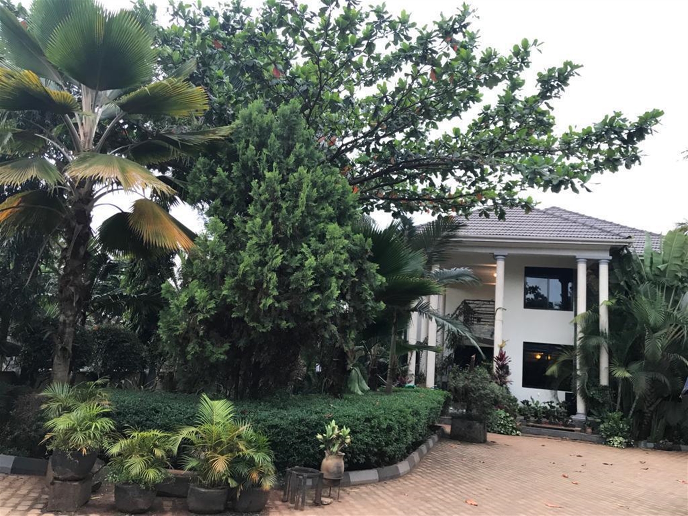 Mansion for sale in Muyenga Kampala