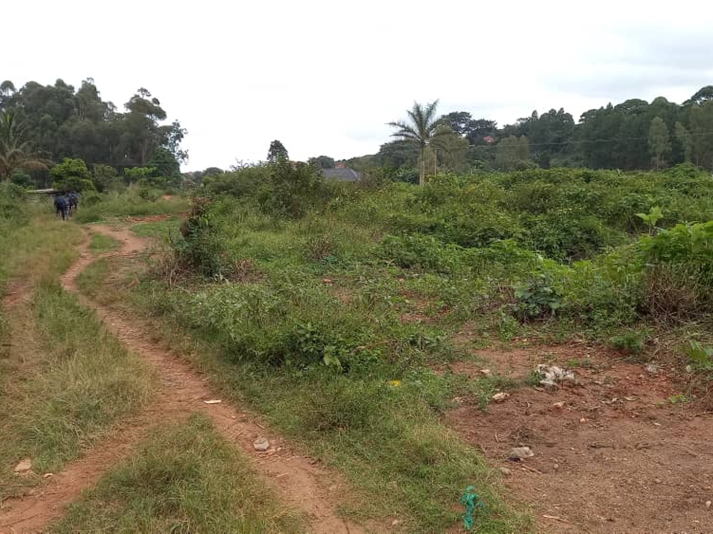 Multipurpose Land for sale in Namulanda Wakiso