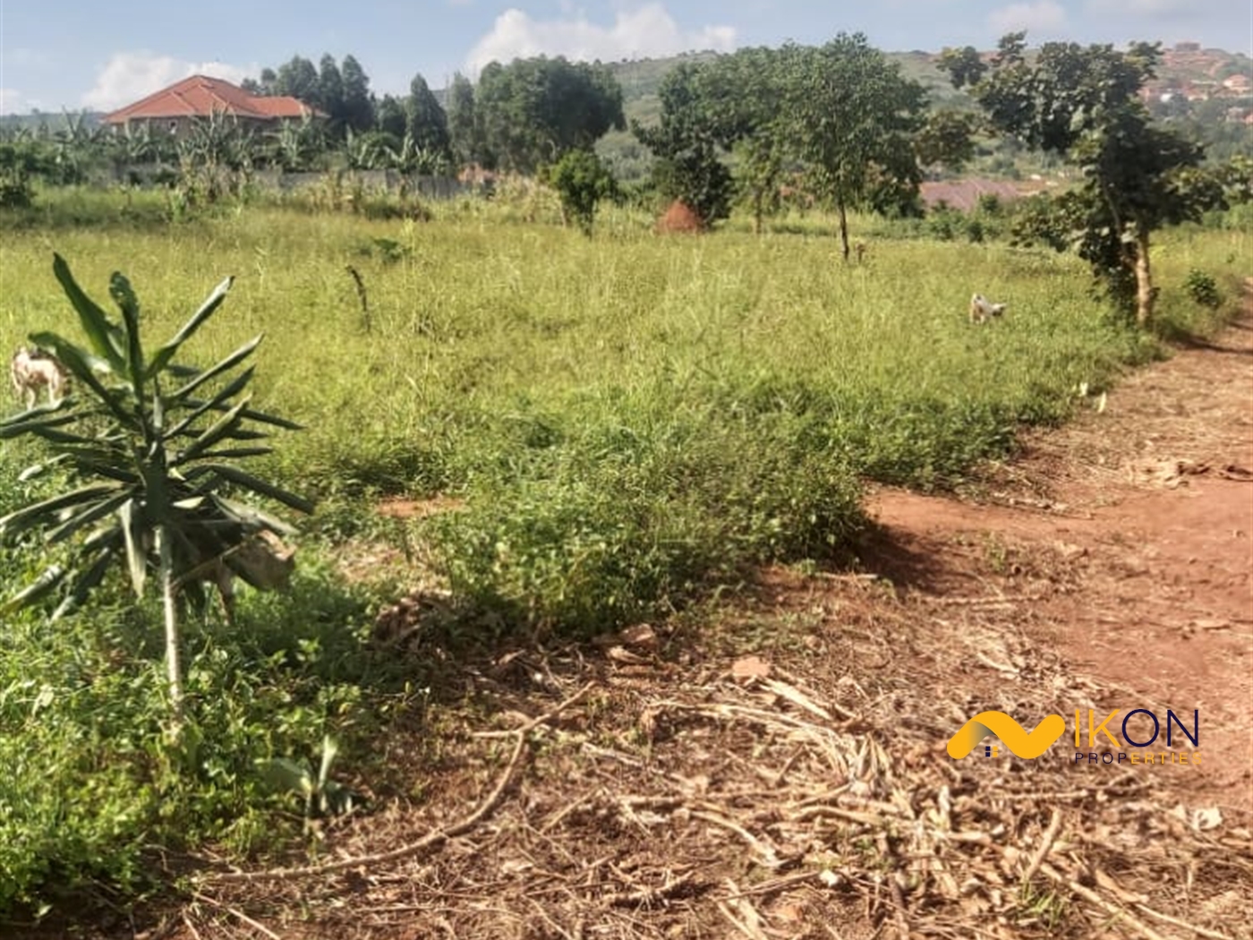 Residential Land for sale in Kitende Wakiso