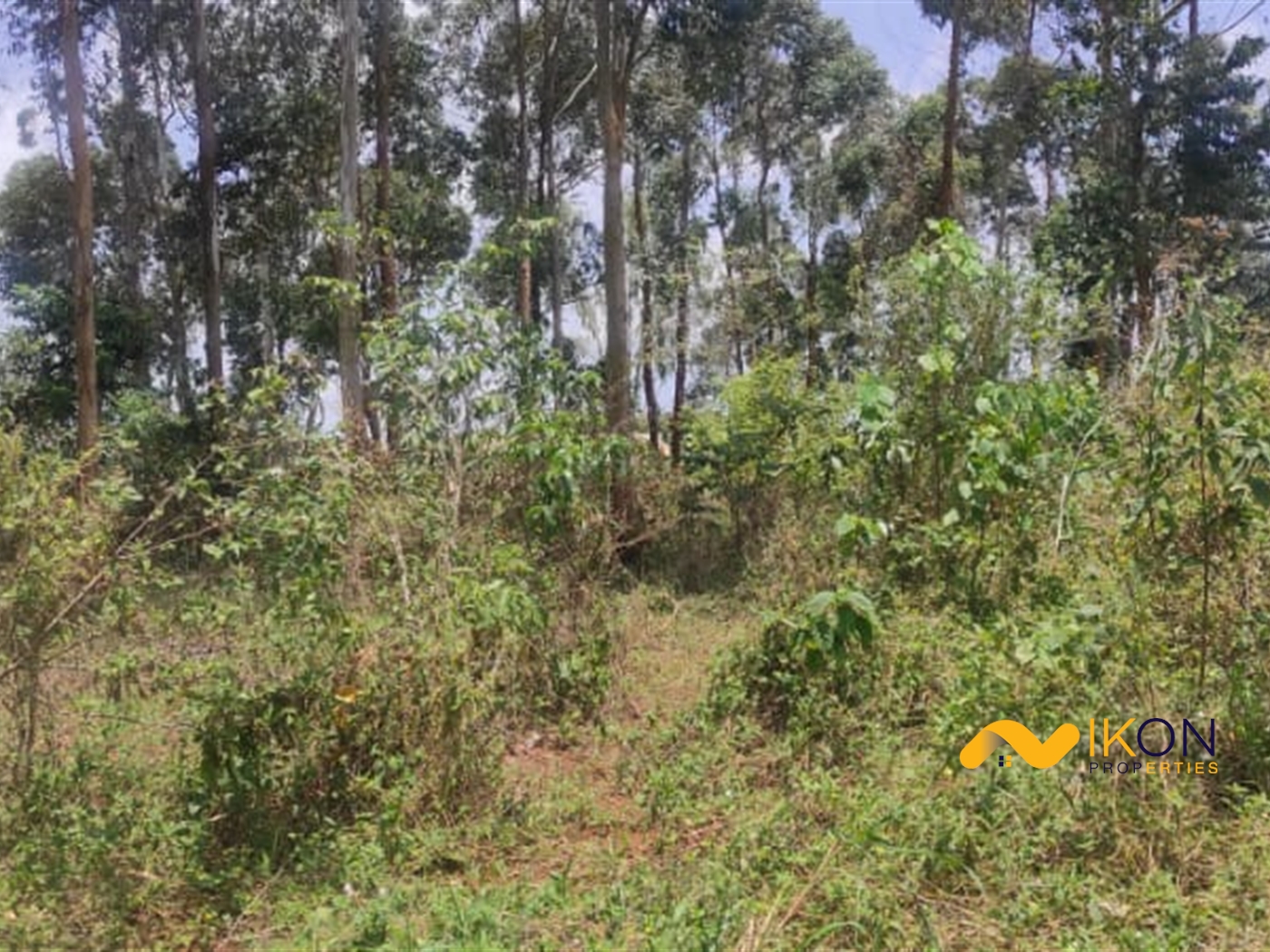 Recreational Land for sale in Bukasa Wakiso