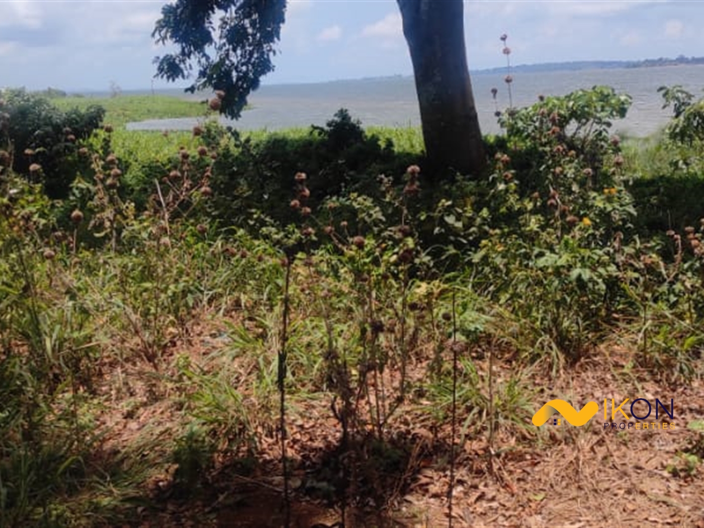 Recreational Land for sale in Bukasa Wakiso