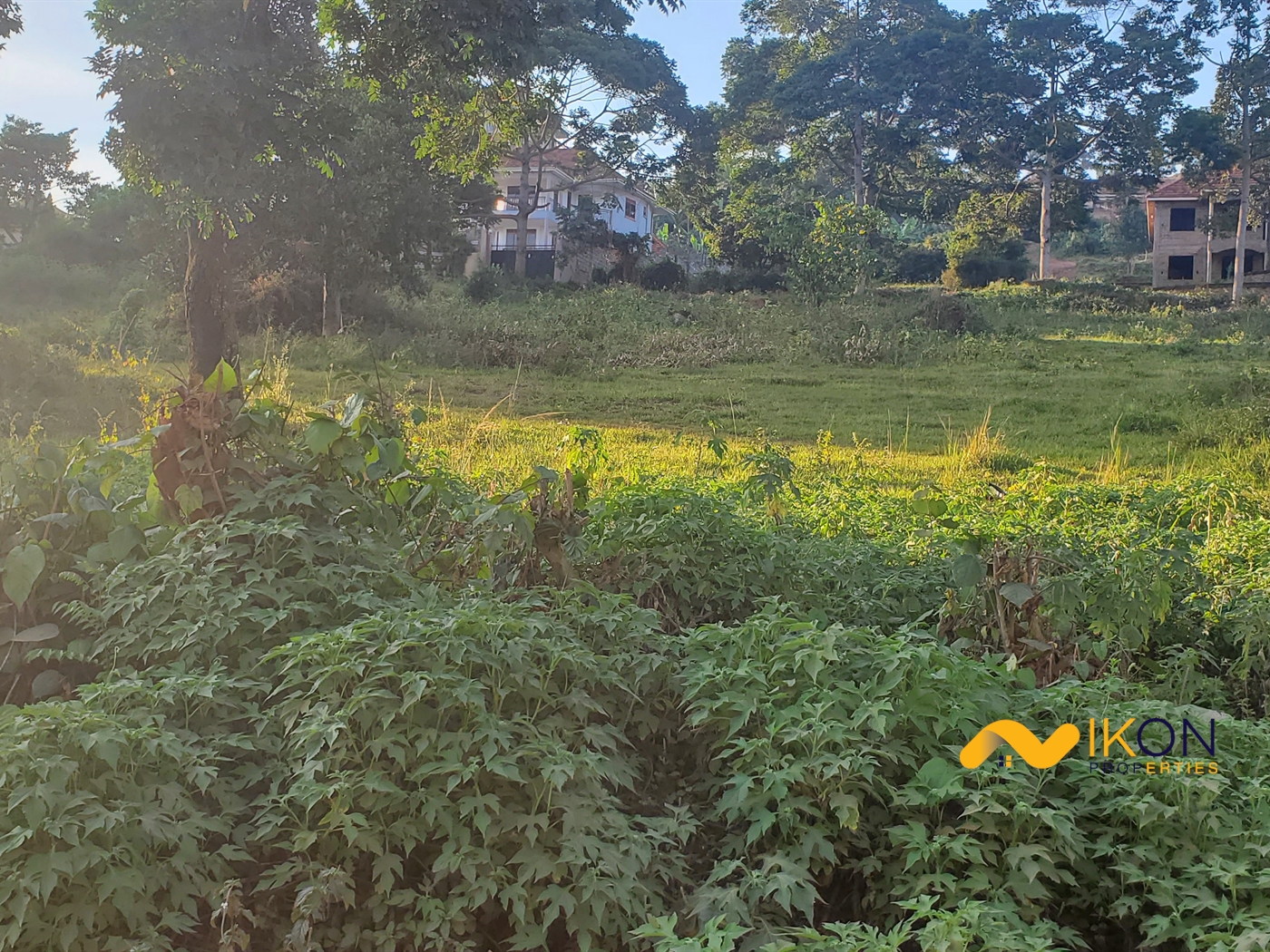 Commercial Land for sale in Seguku Wakiso