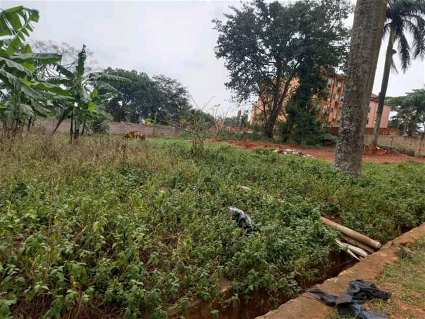 Commercial Land for sale in Ntinda Wakiso