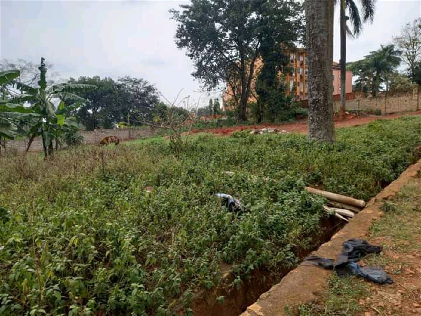 Commercial Land for sale in Ntinda Wakiso