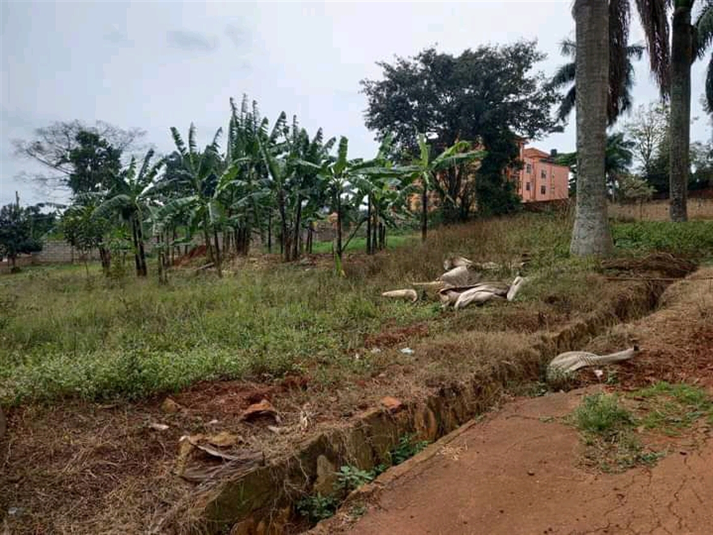 Commercial Land for sale in Ntinda Wakiso