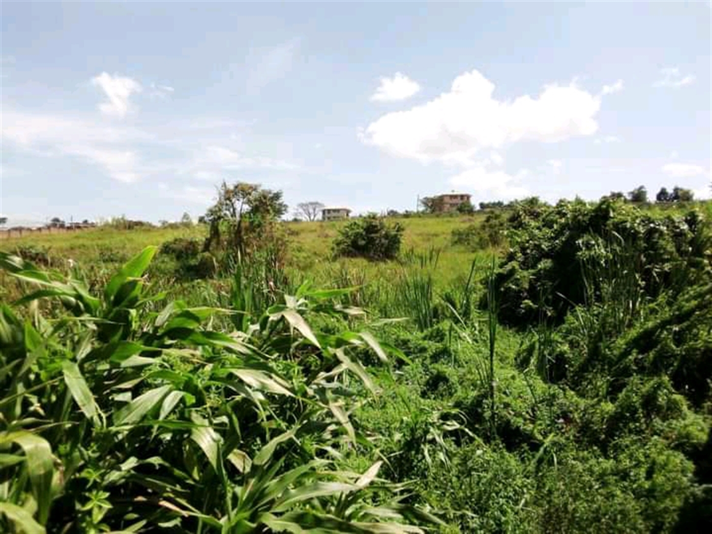 Commercial Land for sale in Butabika Wakiso