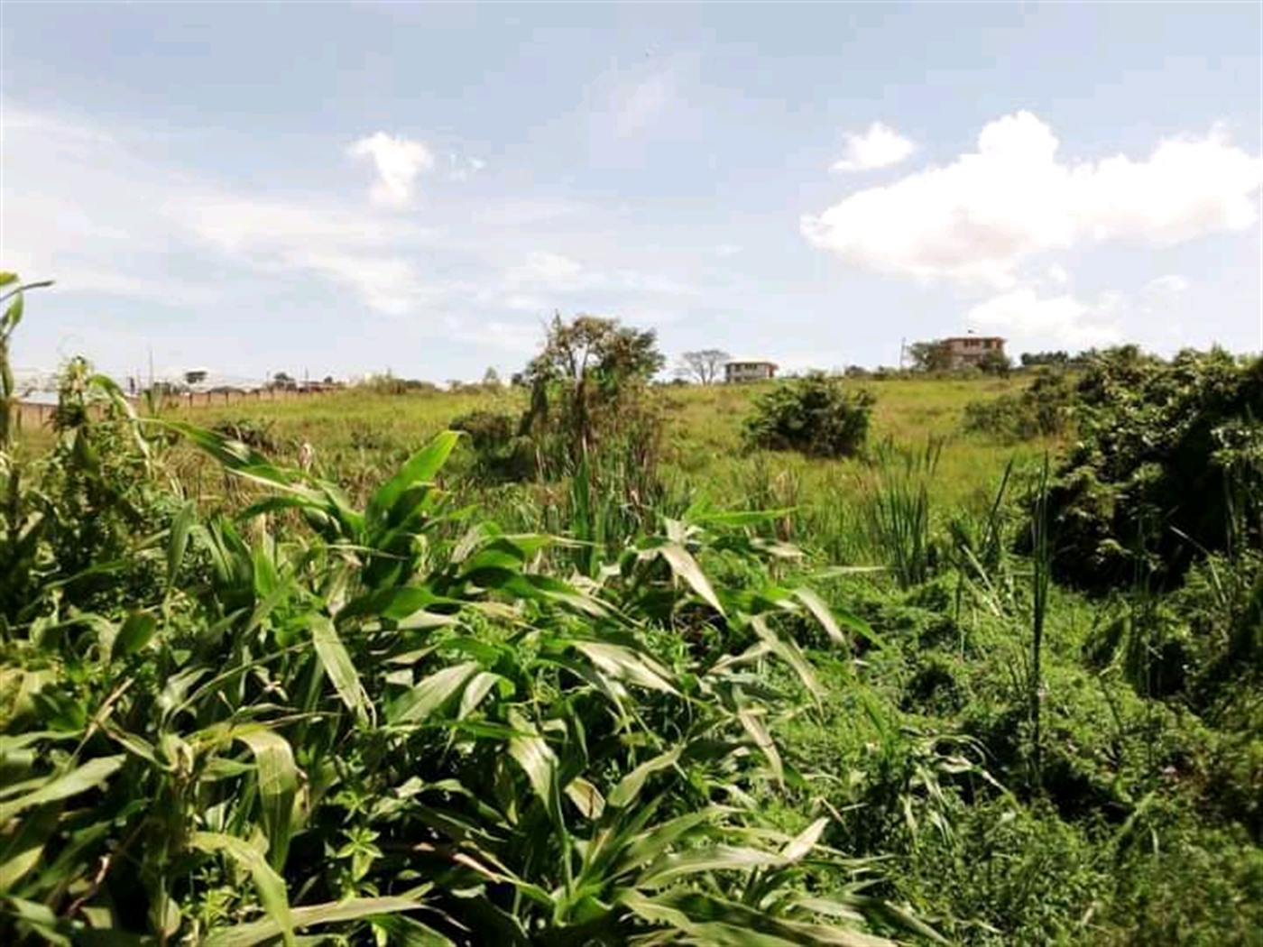 Commercial Land for sale in Butabika Wakiso