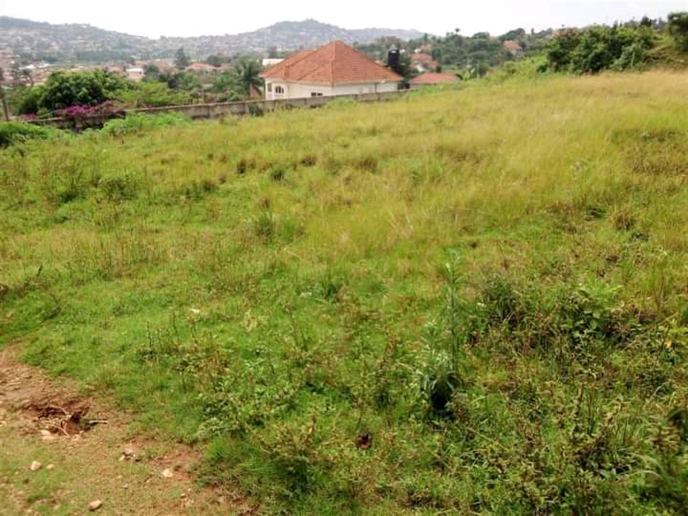 Commercial Land for sale in Muyenga Wakiso