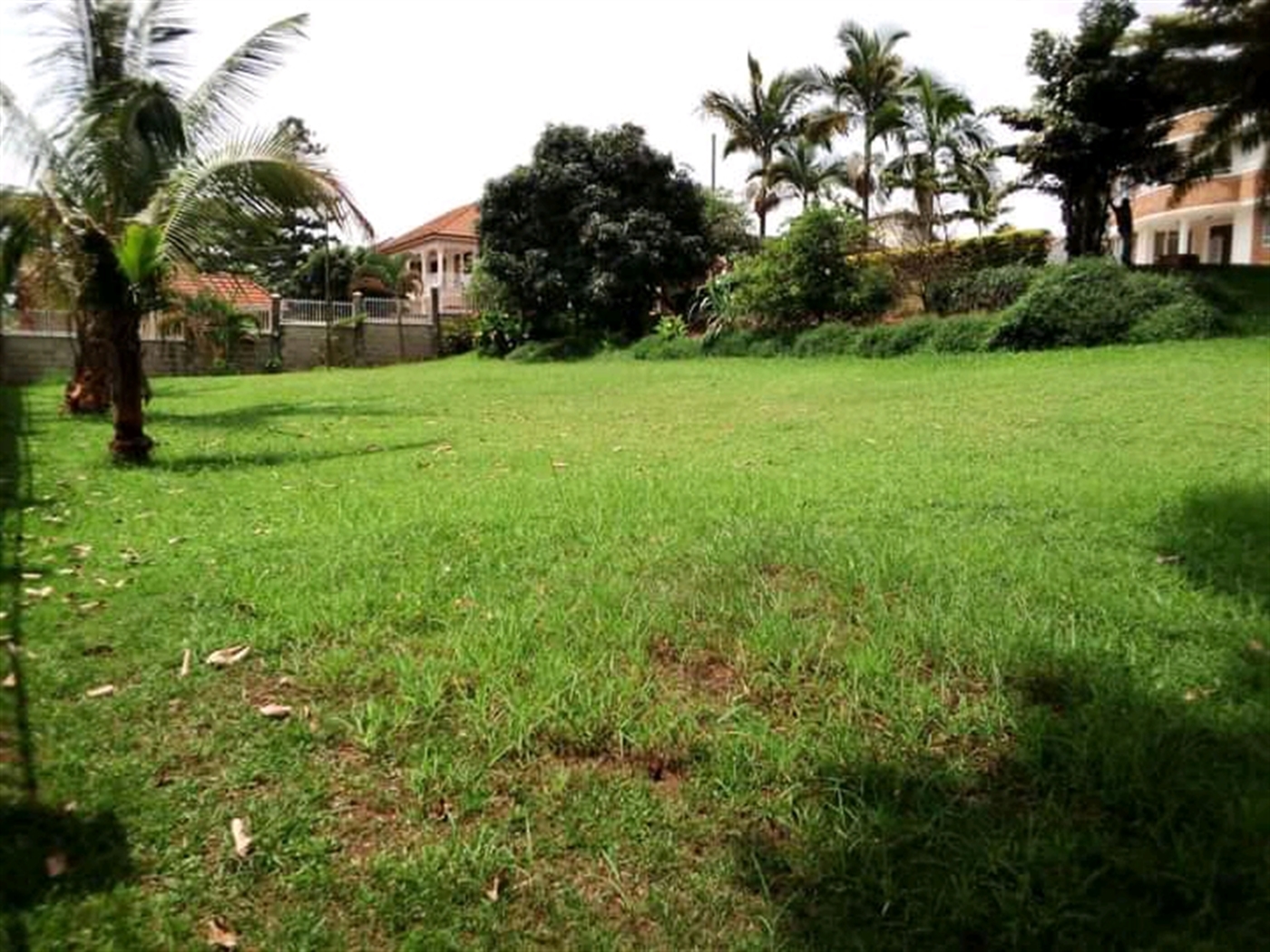 Mansion for rent in Muyenga Wakiso