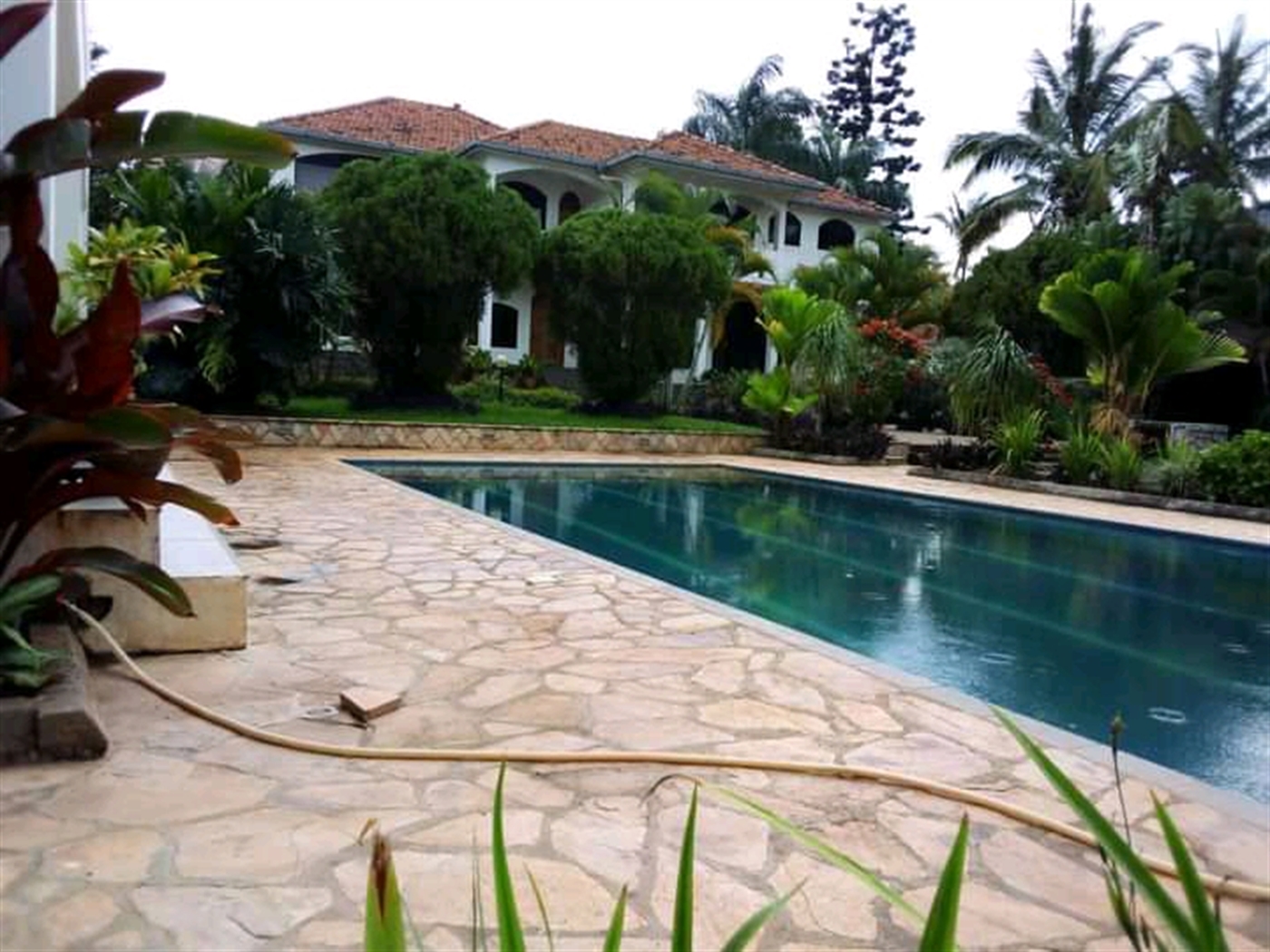 Mansion for rent in Munyonyo Wakiso