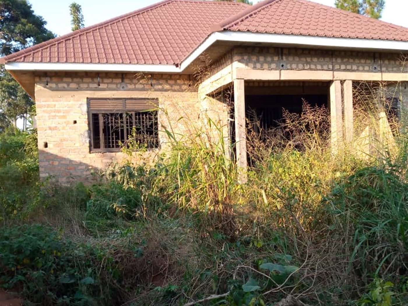 Bungalow for sale in Namulonge Wakiso