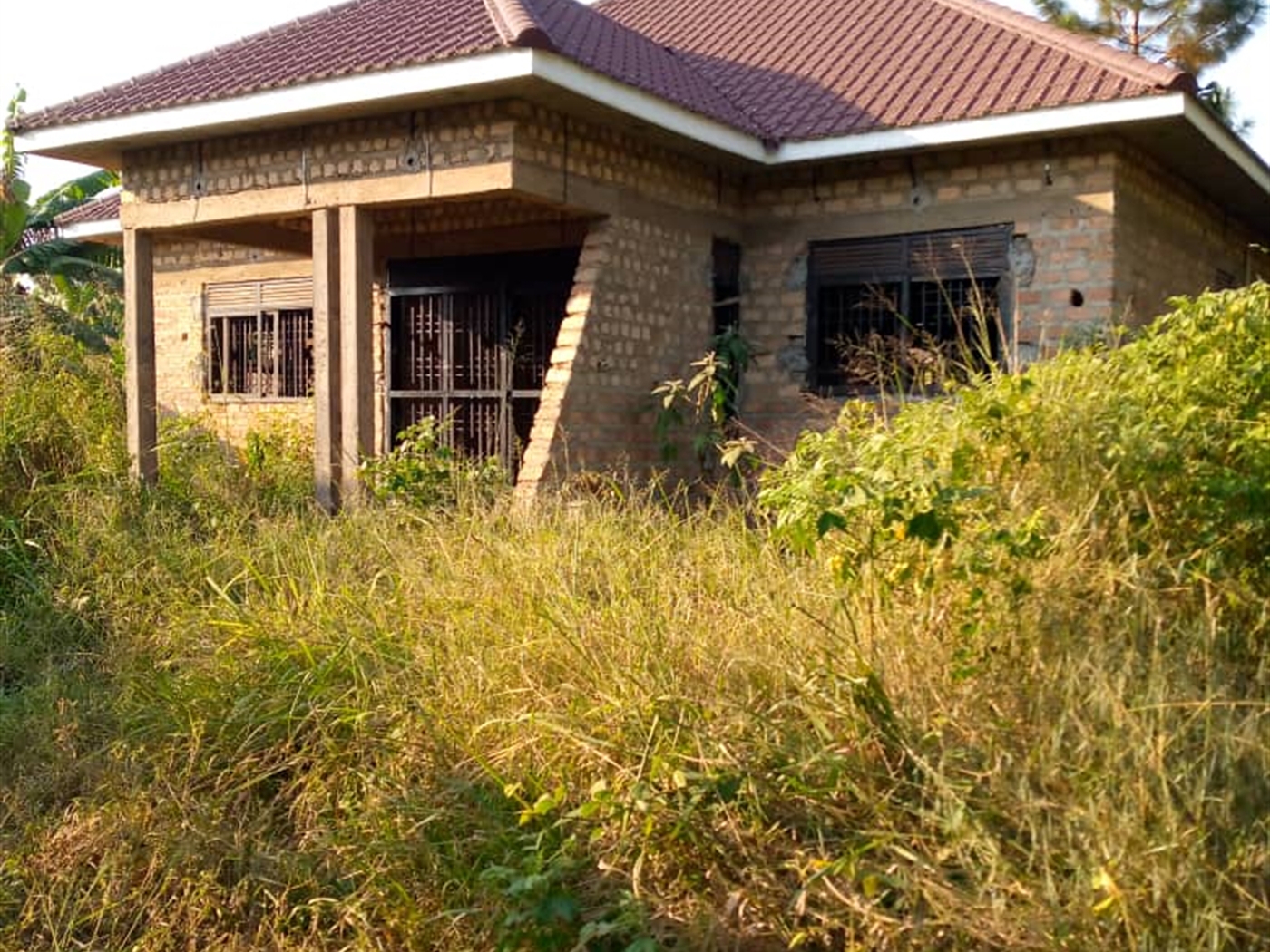 Bungalow for sale in Namulonge Wakiso